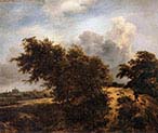 The Thicket-Path in the Haarlem Dunes